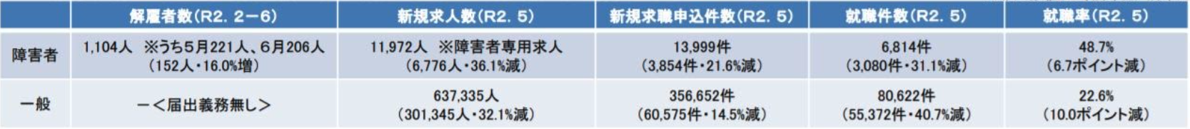 第 97 回 労働政策審議会障害者雇用分科会資料