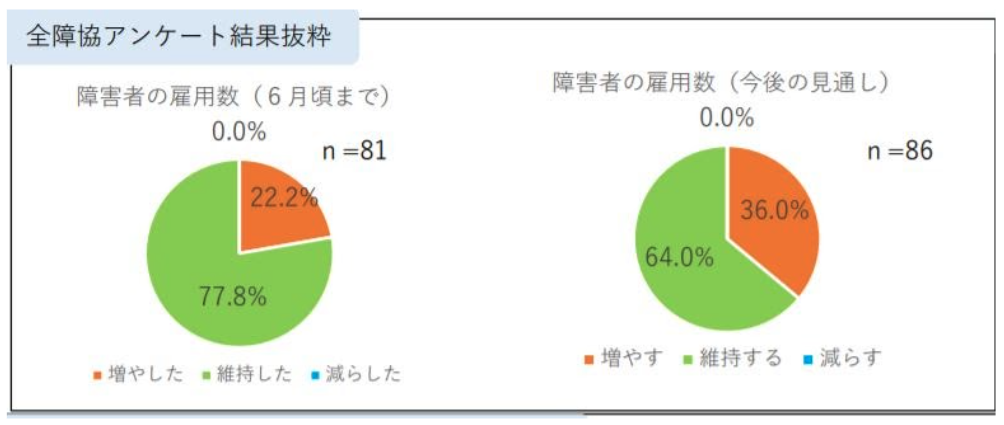 第 97 回 労働政策審議会障害者雇用分科会資料